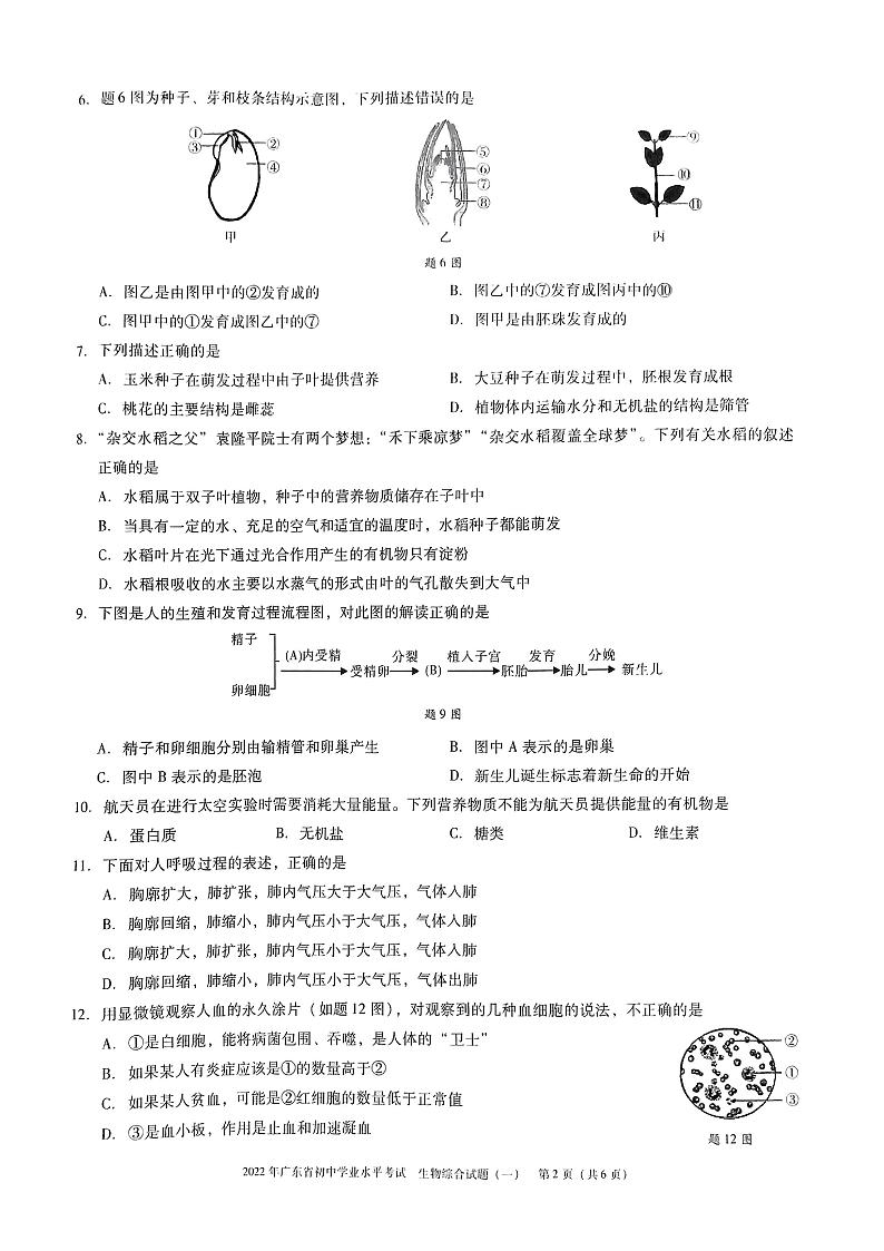 2022年广东省初中学业水平考试生物综合试题（一）（无答案）第2页