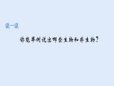 人教版七年级生物上册 1.1.1 生物的特征 课件