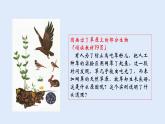 人教版七年级生物上册 1.2.2 生物与环境组成生态系统 课件