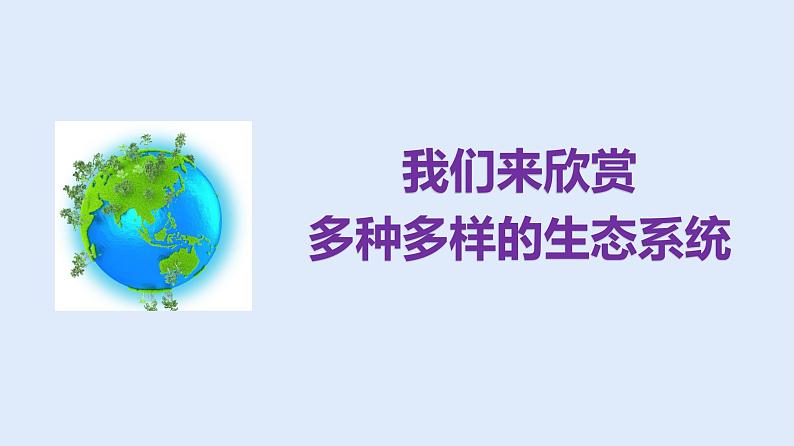 人教版七年级生物上册 1.2.3 生物圈是最大的生态系统 课件05