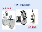 人教版七年级生物上册 2.1.1 练习使用显微镜 课件