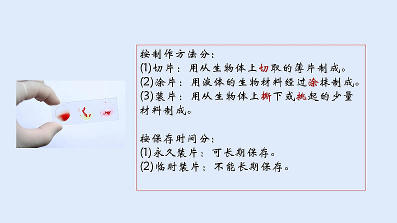 人教版七年级生物上册 2.1.2 植物细胞 课件第4页