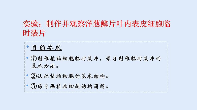 人教版七年级生物上册 2.1.2 植物细胞 课件第5页