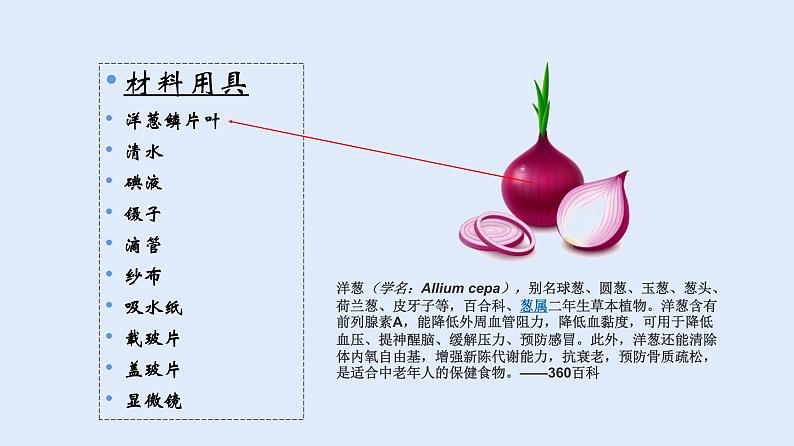 人教版七年级生物上册 2.1.2 植物细胞 课件第6页