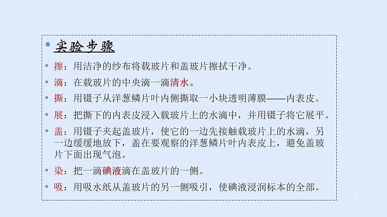 人教版七年级生物上册 2.1.2 植物细胞 课件第7页