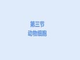 人教版七年级生物上册 2.1.3 动物细胞 课件