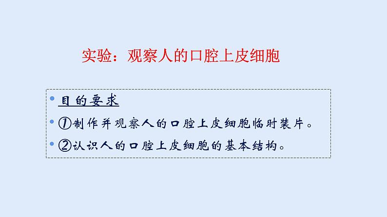 人教版七年级生物上册 2.1.3 动物细胞 课件05