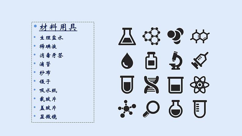 人教版七年级生物上册 2.1.3 动物细胞 课件06