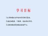 人教版七年级生物上册 2.1.4 细胞的生活 课件