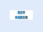 人教版七年级生物上册 2.2.4 单细胞生物 课件