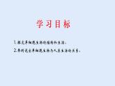 人教版七年级生物上册 2.2.4 单细胞生物 课件