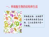 人教版七年级生物上册 2.2.4 单细胞生物 课件