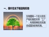 人教版七年级生物上册 3.4 绿色植物是生物圈中有机物的制造者 课件