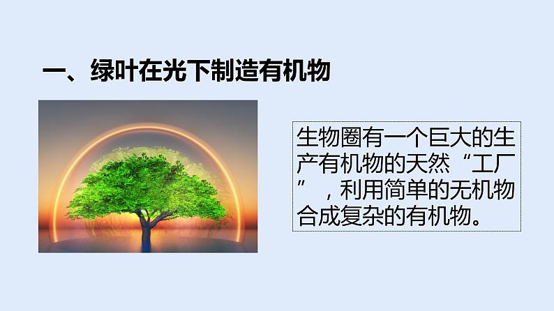 人教版七年级生物上册 3.4 绿色植物是生物圈中有机物的制造者 课件03