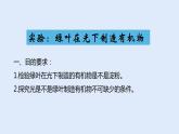 人教版七年级生物上册 3.4 绿色植物是生物圈中有机物的制造者 课件