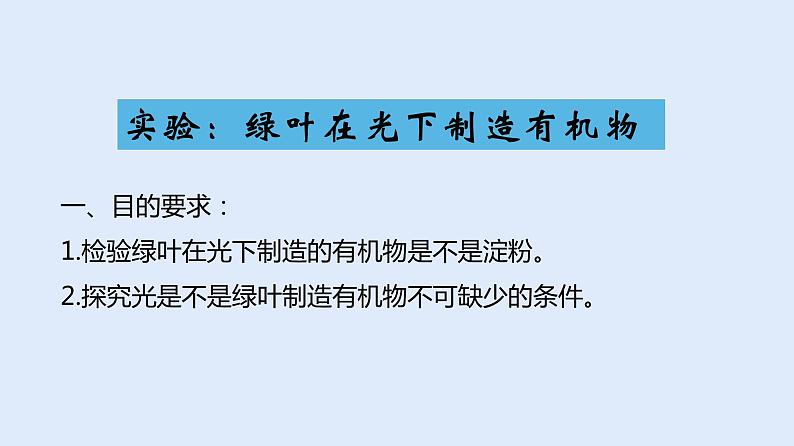 人教版七年级生物上册 3.4 绿色植物是生物圈中有机物的制造者 课件04