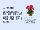 人教版七年级生物上册 3.4 绿色植物是生物圈中有机物的制造者 课件