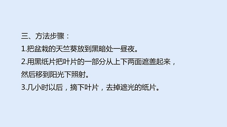 人教版七年级生物上册 3.4 绿色植物是生物圈中有机物的制造者 课件06