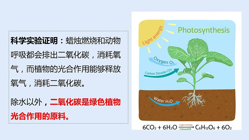 人教版七年级生物上册 3.5.1 光合作用吸收二氧化碳释放氧气 课件06