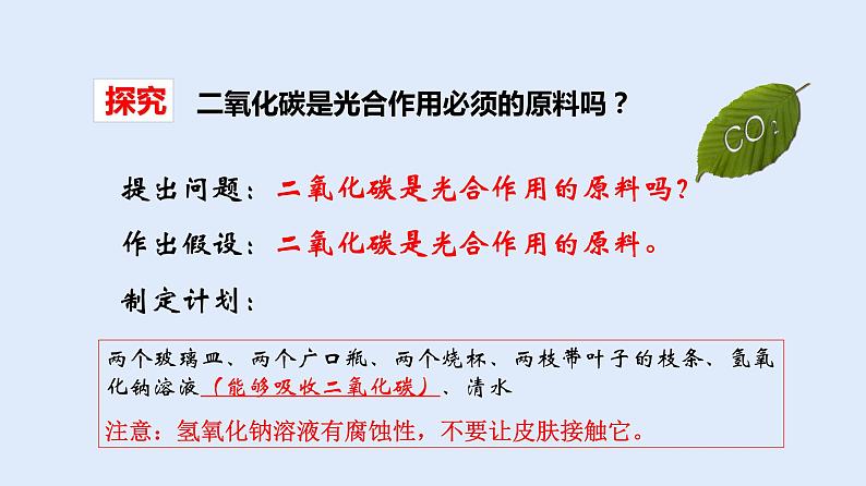 人教版七年级生物上册 3.5.1 光合作用吸收二氧化碳释放氧气 课件07