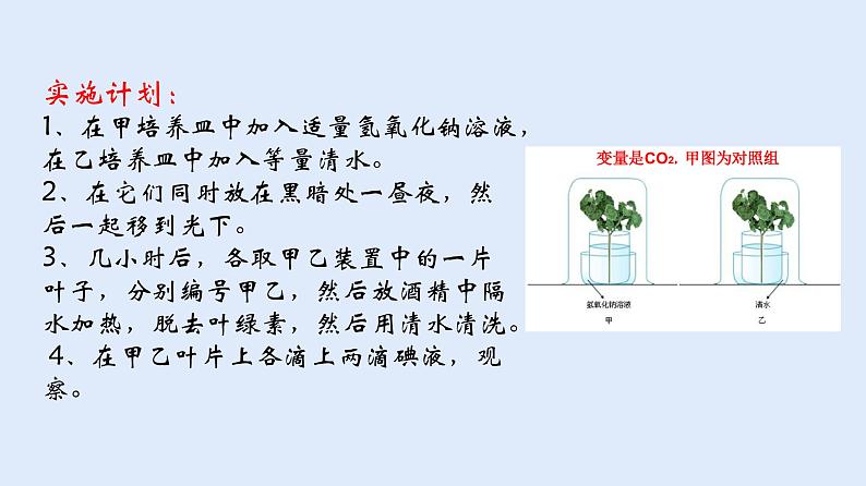 人教版七年级生物上册 3.5.1 光合作用吸收二氧化碳释放氧气 课件08