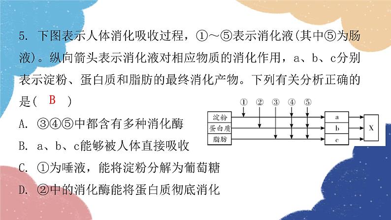 北师大版生物七年级下册 第8章 第2节 食物的消化和营养物质的吸收第2课时- 课件第5页