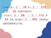 北师大版生物七年级下册 第12章 第2节 感受器和感觉器官第2课时 课件