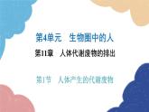 北师大版生物七年级下册 第11章 第1节 人体产生的代谢废物- 课件