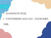 北师大版生物七年级下册 第9章 第1节 血液 课件