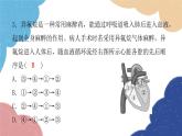 北师大版生物七年级下册 第9章 第1节 血液循环第2课时 课件
