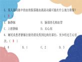 北师大版生物七年级下册 第9章 第1节 血液循环第2课时 课件