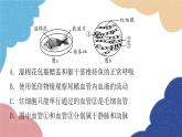 北师大版生物七年级下册 第9章 第2节 血液循环第2课时 课件