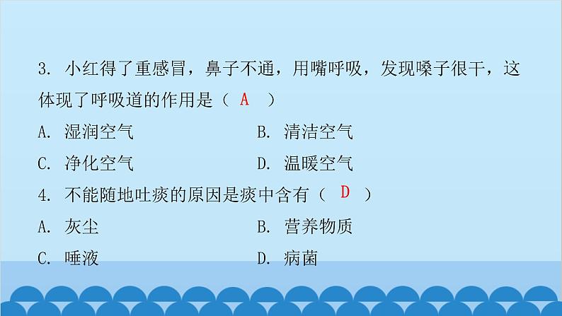 人教版生物七年级下册 第三章 第一节 呼吸道对空气的处理（课件）第4页