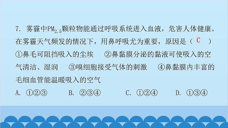 人教版生物七年级下册 第三章 第一节 呼吸道对空气的处理（课件）第7页