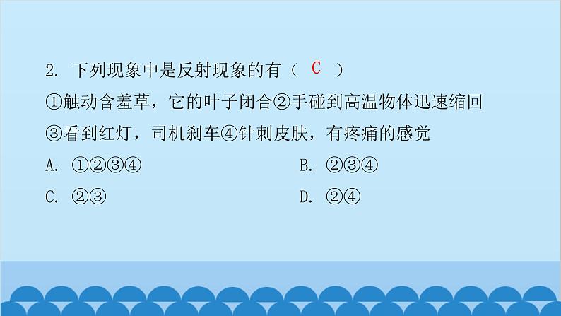 人教版生物七年级下册 第六章 第三节 神经调节的基本方式（课件）第3页