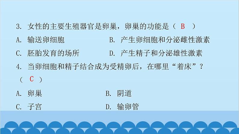 人教版生物七年级下册 第一章 第二节 人的生殖（课件）03