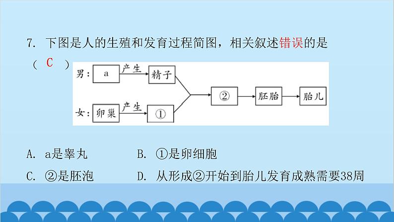 人教版生物七年级下册 第一章 第二节 人的生殖（课件）06