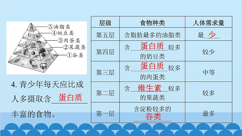 人教版生物七年级下册 第二章 第三节 合理营养与食品安全-（课件）06