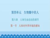 人教版生物七年级下册 第六章 第一节 人体对外界环境的感知（课件）