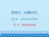 人教版生物七年级下册 第六章 第二节 神经系统的组成（课件）