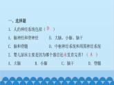 人教版生物七年级下册 第六章 第二节 神经系统的组成（课件）