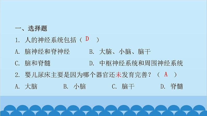 人教版生物七年级下册 第六章 第二节 神经系统的组成（课件）02