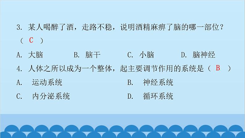 人教版生物七年级下册 第六章 第二节 神经系统的组成（课件）03