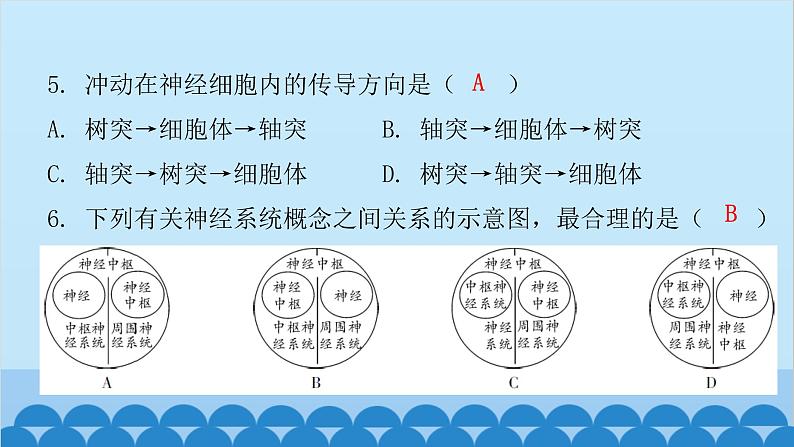 人教版生物七年级下册 第六章 第二节 神经系统的组成（课件）04