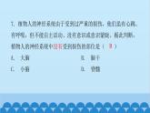 人教版生物七年级下册 第六章 第二节 神经系统的组成（课件）