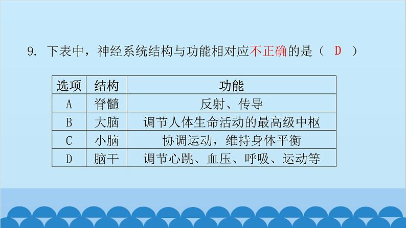 人教版生物七年级下册 第六章 第二节 神经系统的组成（课件）07