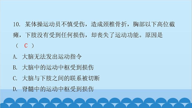 人教版生物七年级下册 第六章 第二节 神经系统的组成（课件）08