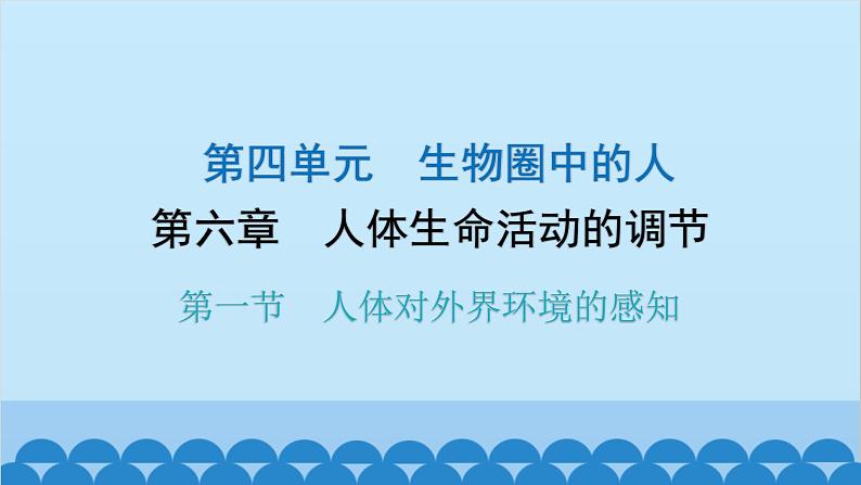 人教版生物七年级下册 第六章 第一节 人体对外界环境的感知-（课件）01