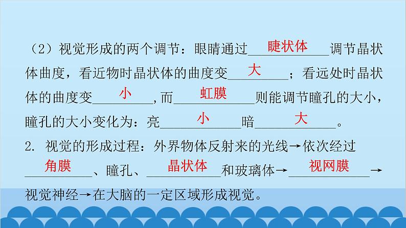 人教版生物七年级下册 第六章 第一节 人体对外界环境的感知-（课件）05