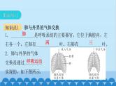 人教版生物七年级下册 第三章 第二节发生在肺内的气体交换（课件）